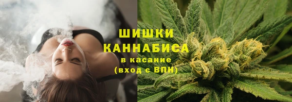 стаф Лагань