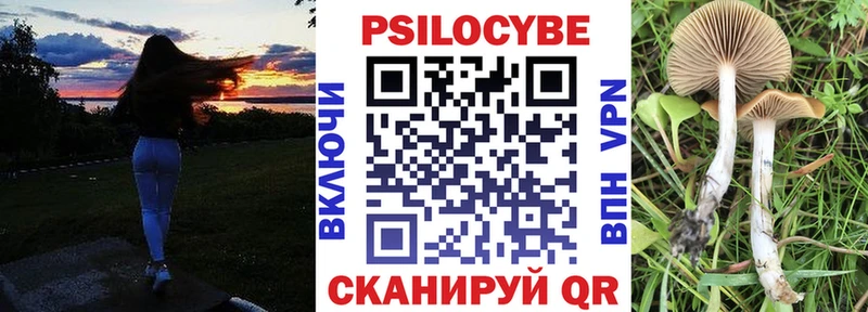 Псилоцибиновые грибы мицелий  как найти закладки  kraken tor  Аксай 
