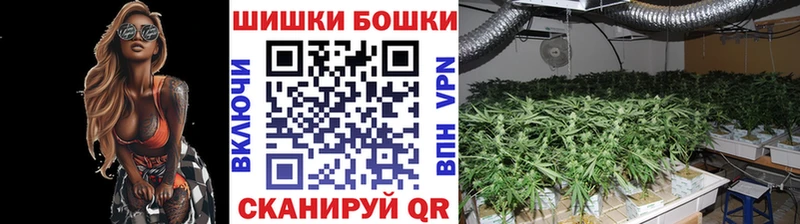 купить наркоту Аксай Бошки Шишки ГИДРОПОН